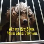 사단법인 엘씨케이디(LCKD)(@helpshelter)'s profile avatar