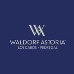 @wapedregal