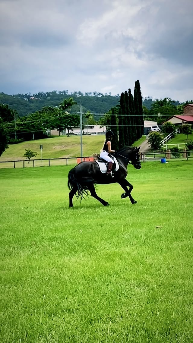 When people say they are blessed but they are counting materialistic things. Blessed is not materialistic. Blessed is experiencing life. @elementsequestrian by @missazz_3