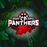 @ca_panthers_babs