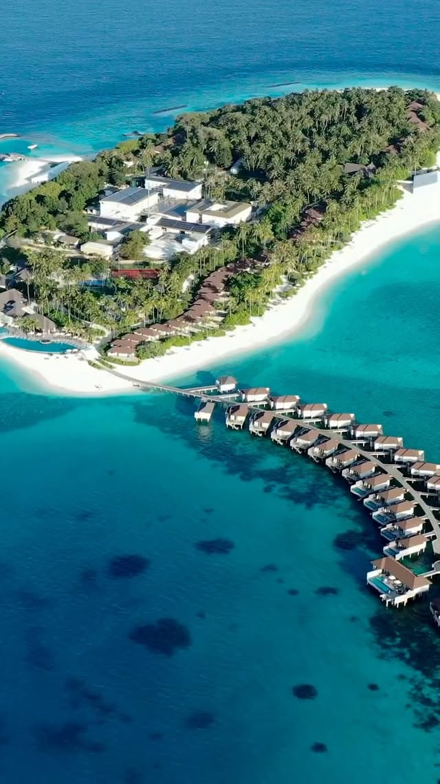 4 weeks to go til we hit the insane blue waters of The Maldives 🌴 for @yourparadise If you want to know more drop a comment below 👇🏼 or DM me.I have a few VIP priced options to share, but only a handful left, so you snooze you lose! See you in paradise babyyyX by @allidoreporfavor