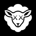 sheepeyrace