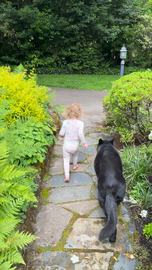 I never imagined that my two soul dogs - Kota, my husky and London, my GS - would ever get to meet a child of mine. I’ve had Kota and London since I was 18 and 20 years old. I can’t believe my little human gets to be loved by them. ♥️