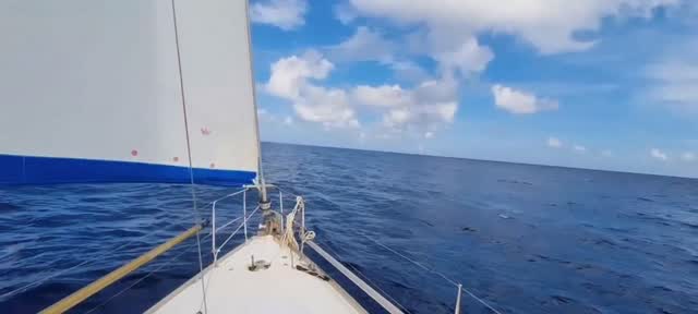 Invisible sağlığına 3 mil kala gelen orkinos, 60 mil sonra Andaman adasında gözaltına alınacağımdan habersiz " çok fazla, limana gidince yarısını birilerine veririm" demiştim ama 10 günlük esarette tam yetti. İnsan plan yaparken kaderi ona gülermiş💙 by @fatih_aksu_bluehorizon
