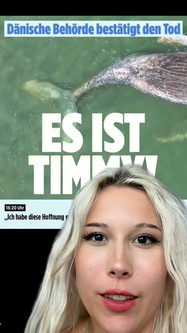 rip timmy#walrettung #explorepage by @sarahtoninx9_