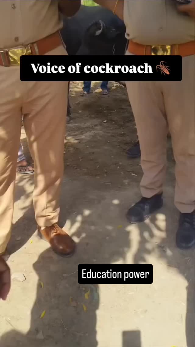 Tonight, @thv took a turn in the audience as he watched @gracieabrams and @dojacat perform at : Hollywood. No stranger to a fashion show either, the @bts.bighitofficial star dressed in a look that could have easily appeared on the runway.Let's change the system ✊Power of Cockroach 🪳 janta party i full support 💪❤️ Cjp by @cockroachjantakiparty_cjp