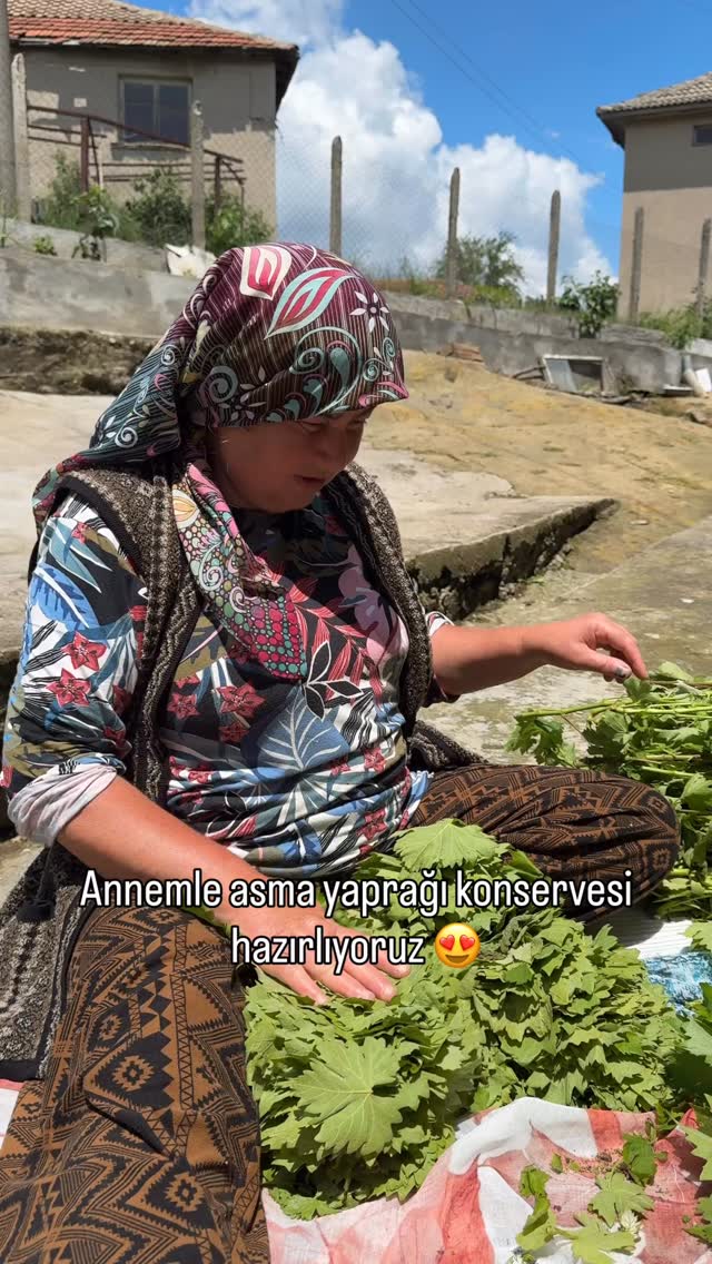 Bayram tatilini denize nazır değil köyde avluda işlenirken geçiriyoruz 😍 aklımızdan geçmedi dersek yalan olur😅 ancak bu uzun tatili sevdiklerimiz ile birlikte geçirip onlarla yan yana olmak fikri daha ağır bastı 🥰 Geldiğimizden beri bitmeyen işler olsa da yorgunluk duymadan keyifle yapıyoruz, bir yandan da çekiyoruz 😁 bugün bahçede annemle yaprak konservesi yaparken onun MACIR dili videoya konuk oldu 🫠 öyle çok seviyorum ki ❤️ tam taze yaprak sezonu, dondurucuya atmak yerine böyle konservede tadı çok daha iyi oluyor. Yapılışında özel bir şey yok, yaprakları sıkıca kavanoza bas, üzerine, 1 tatlı kaşığı tuz ekleyip su doldur. Klasik konserve kaynatma tekniği gibi kaynatıp kapakların sıkışmasını sağla👌🏼#köy #bulgaristan #konserve #asmayaprağı #bayram by @nordde_