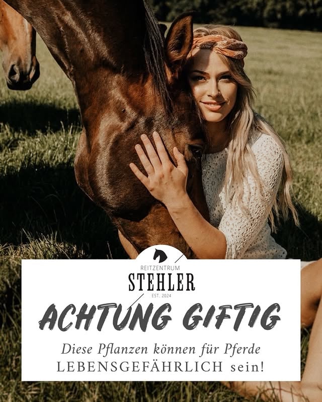 Unsere Pferde verlassen sich auf uns!🐴PASST AUF SIE AUF!🙏🏻 by @vanessastehler