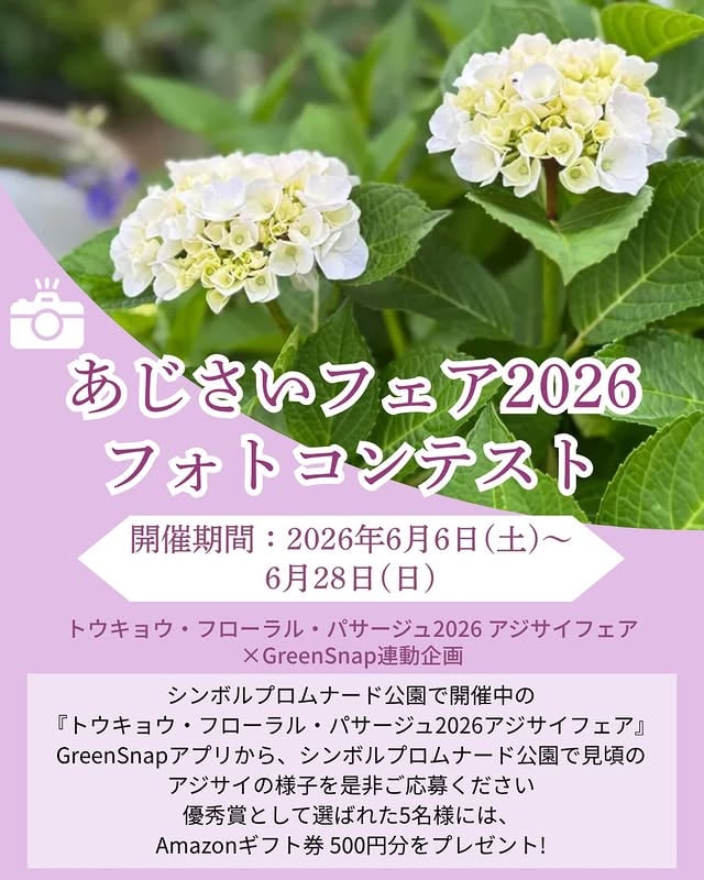 📸 あじさいフェア2026 フォトコンテスト開催します！梅雨の季節に咲く、美しいあじさいを写真に収めませんか？🌸シンボルプロムナード公園で開催中の 『トウキョウ・フローラル・パサージュ2026 アジサイフェア』 と連動した、GreenSnapのフォトコンテストを行います！見頃を迎えたアジサイの写真を、ぜひGreenSnapアプリからご応募ください✨🗓️ 開催期間：2026年6月6日(土)〜6月28日(日)優秀賞に選ばれた5名様には Amazonギフト券500円分をプレゼント🎁あなたのとっておきのあじさい写真、お待ちしています！#あじさいフェア2026 #フォトコンテスト #GreenSnap #アジサイ #紫陽花 by @greensnap.jp