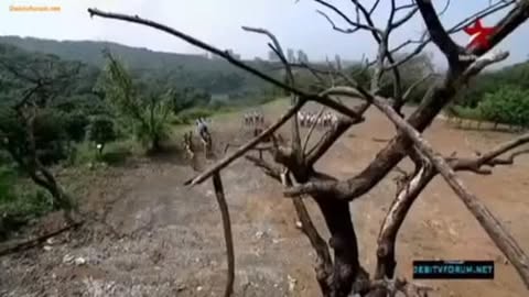 #haryugmeinaayegaekarjun