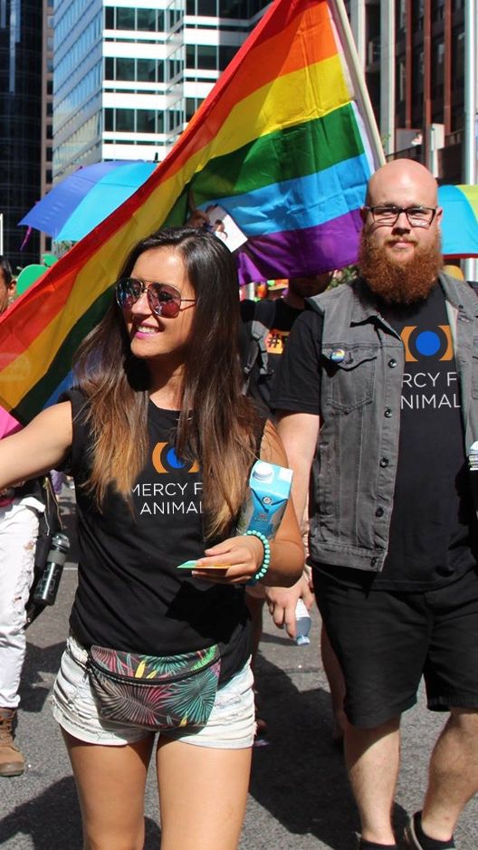 Happy Pride Month from Mercy For Animals! 💖⁠⁠#HappyPride #LoveIsLove #Pride by @mercyforanimals