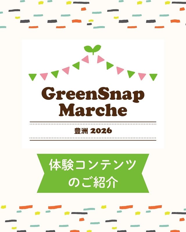 🌿 GreenSnap Marche 豊洲2026では、お買い物だけじゃなく体験コンテンツも充実しています！しかもすべて無料✨ぜひ家族みんなで楽しんでね♪📱デジタルスタンプラリー各出店ブースのQRをスキャンしてスタンプを集めよう！🎯集めたスタンプ数に応じて特典をゲットできます♪無料で参加できるので、会場まわりながらぜひチャレンジして！※景品の交換は【MAP1】のブースにて承ります。🌸 お花すくい体験【MAP1】プールに浮かんだカラフルなお花をすくおう🌼すくったお花は1つプレゼント！小さなお子さんも大喜びの無料体験です😊📅 6/6(土)・6/7(日)両日開催✅ 参加無料🌿 花文字植え付け体験豊洲公園を象徴する「TOYOSU」の花文字を、みんなで植え付け🌱親子で一緒に参加できる特別な体験です！ 📅 6/6(土) 11:00〜11:30 ※雨天の場合は7(日)に実施 👥 定員25名・先着順 📌 受付は、MAP1インフォメーションブースにて皆さまのご参加、お待ちしております✨#GreenSnapMarche #グリーンスナップマルシェ #豊洲 #スタンプラリー #お花すくい 植え付け体験 by @greensnap.jp