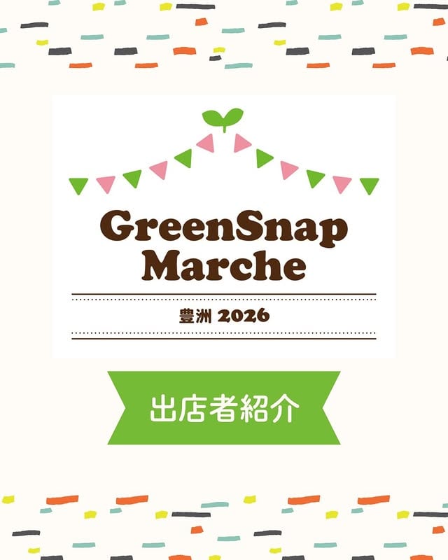 🌿 GreenSnap Marche 豊洲 2026 出店者紹介スタート！6月6日(土)・7日(日) 11:00〜16:00📍豊洲公園 子供の広場側今年もたくさんの素敵な出店者さんが集まります🌱植物・ワークショップ・グルメ…見どころ満載の2日間をお楽しみに！■MAP 3スポンサー出店者紹介｜ソフトバンク晴海トリトンお子様に大人気の キャラクターバルーンアートや日用品のプレゼント🎈お菓子のつかみ取りイベントも開催！ ファミリーでぜひ気軽にお立ち寄りください😊#GreenSnapMarche #グリーンスナップマルシェ #豊洲 #豊洲公園 #植物イベント by @greensnap.jp
