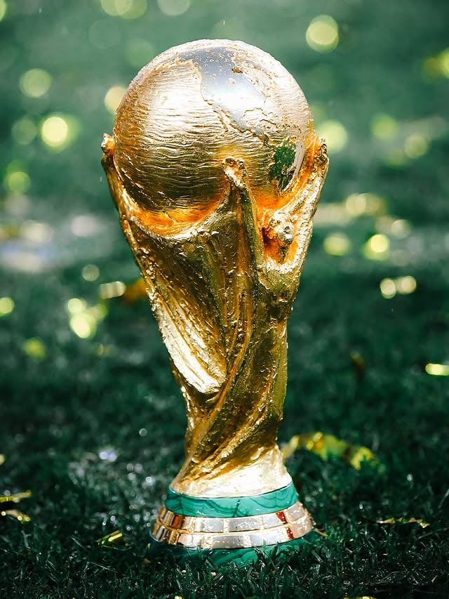 🏆✨

#FIFAWorldCup