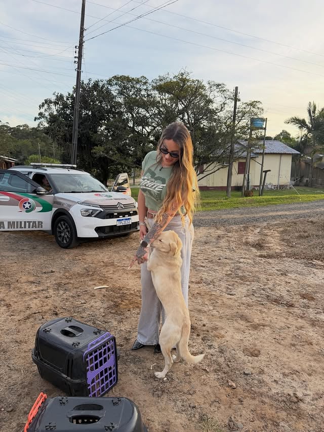 Conseguimos! Aqui, quem maltrata não tem vez. E o Sítio Mayers agora tem mais dois integrantes, e serão amados como merecem. 🩷🐶