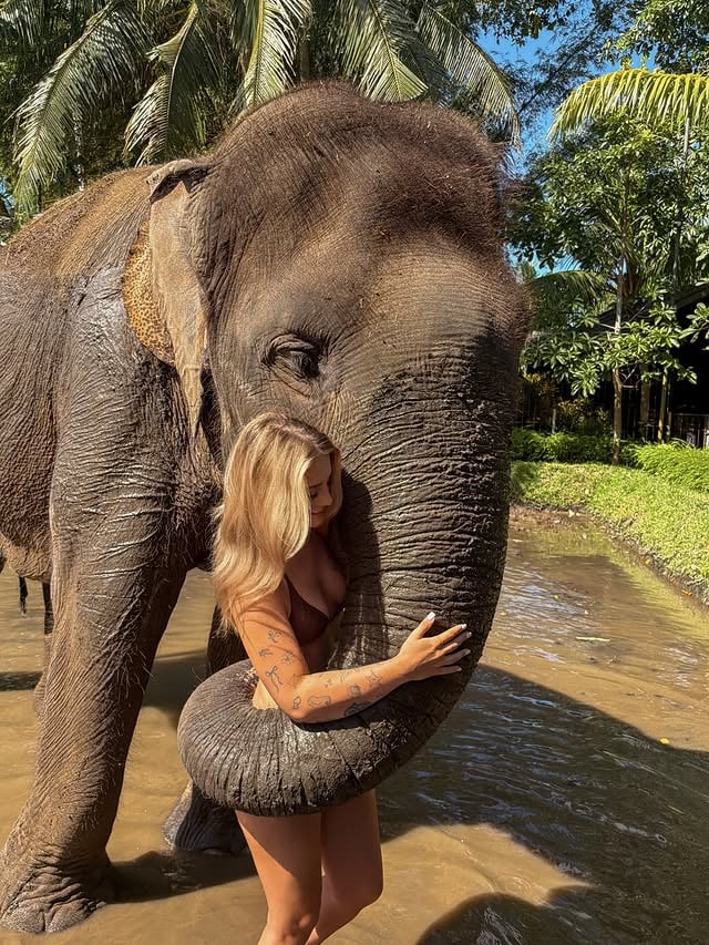 a moment I’ll never forget🐘✨🤎

.

#bali #travelgram #beautifuldestinations #bucketlist #explorepage