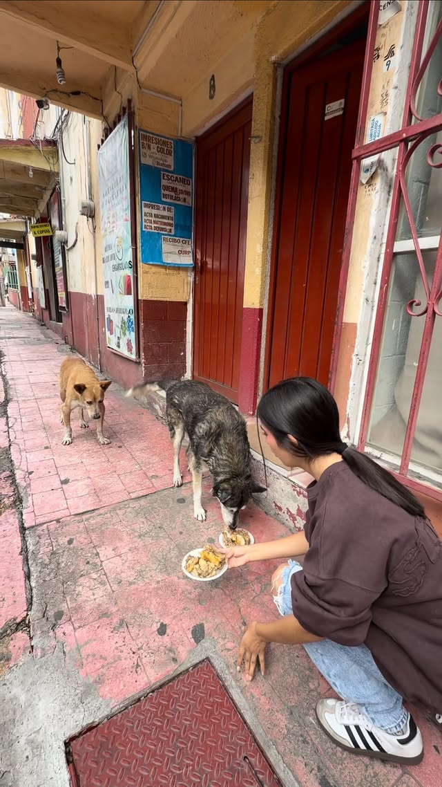 Un platito de comida no se le niega a los perritos. by @ni_kiss_oficial