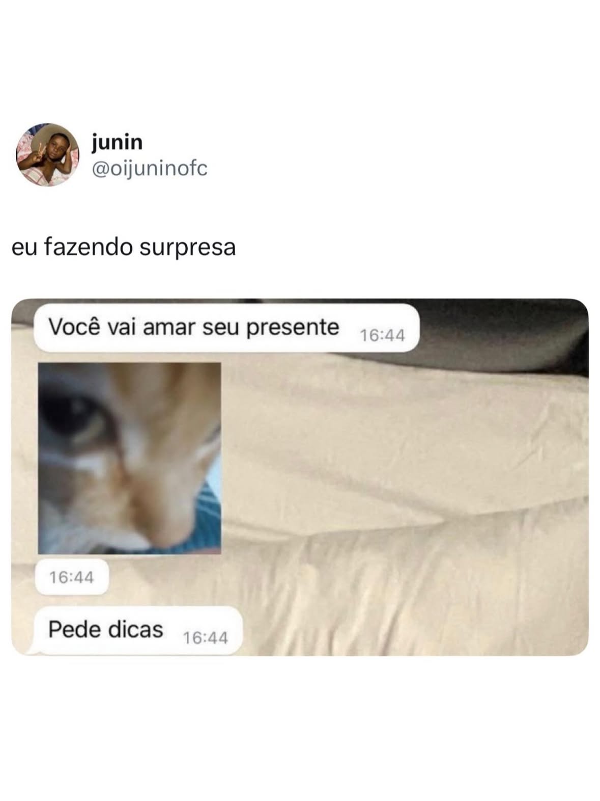 Sigam: @oijuninofc