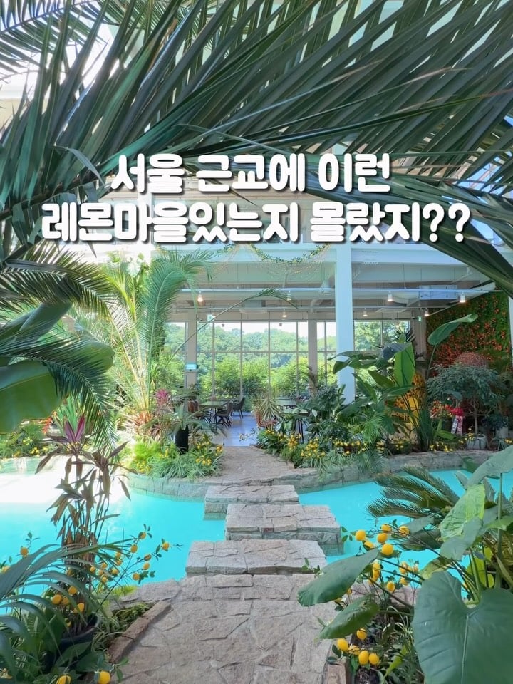 서울 근교에 이런 레몬마을 있는지 몰랐지? 🍋*광고통째로 레몬마을로 변신한 2000 평 규모의 대형 카페인데에메랄드빛 연못에 야자수 가득해순간 해외 온 줄...레몬 디저트랑 브런치 먹으면서여유롭게 시간 보내기 좋았어요반려동물 동반 가능하고아이들이 뛰어놀 수 있는 잔디밭도 넓어서주말 나들이 코스로 추천하는 김포 대형 카페입니다✅ 가혜리@gahyeri_cafe 경기 김포시 대곶면 덕포진로103번길 8410:00~21:00✅ 더 많은 서울근교카페는@reneve__@reneve__@reneve__#김포카페 #서울근교카페 #김포브런치 #대형카페 #경기도카페 🍋 A giant lemon-themed cafe near Seoul.With tropical plants, turquoise water,and lemon-filled decor everywhere,it honestly felt like a trip abroad.A great spot for brunch,desserts, and a relaxing weekend outing by @reneve__