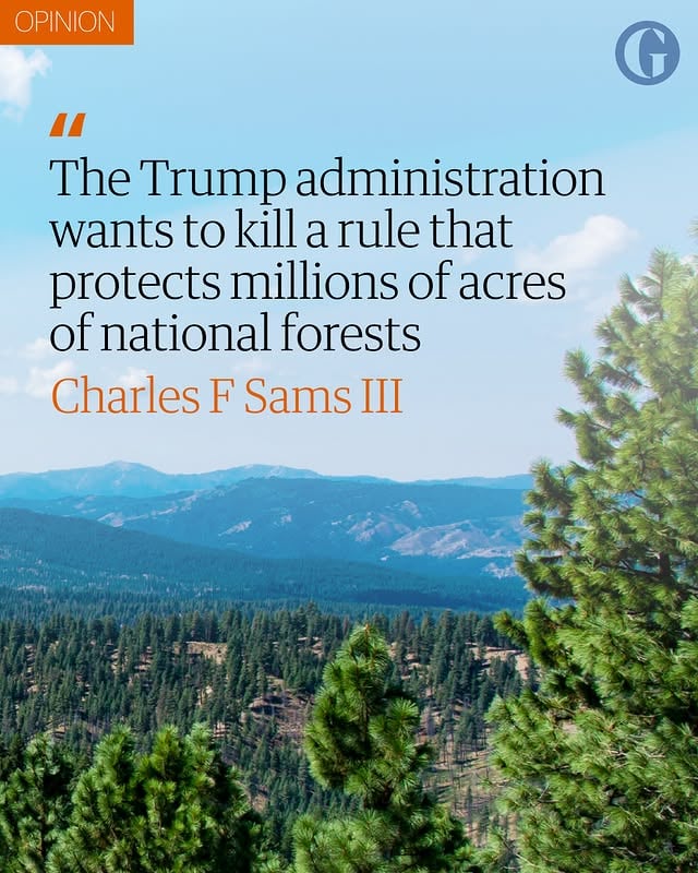 "Public lands belong to us all, including you," writes Charles F Sams III, the former director of the National Park Service, for Guardian US.⁠⁠"That means you get a say. It also means you share the responsibility of caring for them – and, when they are cared for, you get the joy of benefiting from them. Keeping the Roadless Rule benefits every last one of us," he writes. ⁠⁠"It takes a lot to remove a road. And while nature is resilient, it takes even more to heal the land and habitats after the road is gone. A better option: in our national forests, just don’t build them."⁠⁠Swipe to read more and follow the link in bio for the full op-ed. by @guardian_us