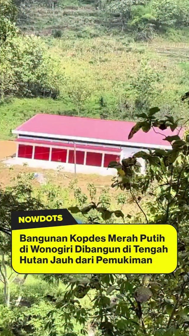 Pembangunan Koperasi Desa Merah Putih (KDMP) di Desa Plosorejo, Kecamatan Kismantoro, Wonogiri menjadi sorotan setelah viral di media sosial karena disebut dibangun di tengah hutan dan jauh dari permukiman warga. Menanggapi hal itu, Danramil 20/Kismantoro Kapten Inf Cris Budiriyanto membantah narasi tersebut. Ia menegaskan lokasi koperasi justru berada di kawasan strategis yang dilintasi akses jalan utama masyarakat serta berada di antara beberapa dusun yang terpisah karena kondisi geografis wilayah pegunungan.

Menurut Cris, bangunan KDMP berdiri di atas tanah kas desa yang sebelumnya merupakan lahan kosong dengan tanaman jati dan telah ditetapkan melalui musyawarah perencanaan pembangunan (Musrenbang). Lokasinya berjarak sekitar 300 hingga 400 meter dari permukiman warga dan ke depan akan dikembangkan sebagai pusat kegiatan ekonomi masyarakat, termasuk BUMDes, warung kebutuhan pokok hingga layanan kesehatan. Meski pembangunannya telah rampung sejak April 2026, operasional KDMP masih menunggu arahan pemerintah pusat serta kelengkapan sarana dan prasarana pendukung.

📹 Facebook/delete.id

-
#nowdots