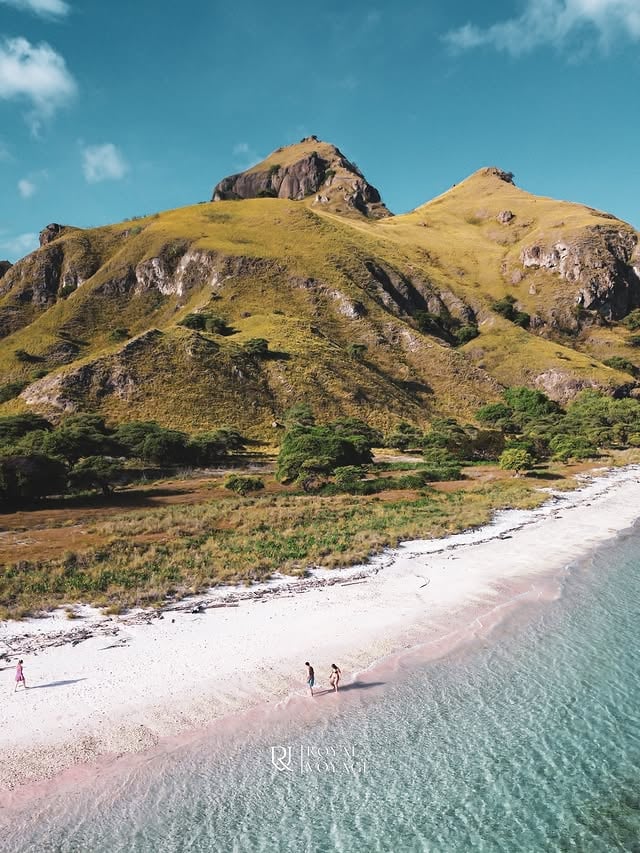 Maybe it’s the water.Maybe it’s the view.Maybe it’s the feeling that some places are simply timeless.📍 Pink Beach, Komodo National Park#RoyalVoyage #PinkBeachKomodo #KomodoNationalPark #SailingKomodo #labuanbajo by @royalvoyage_id